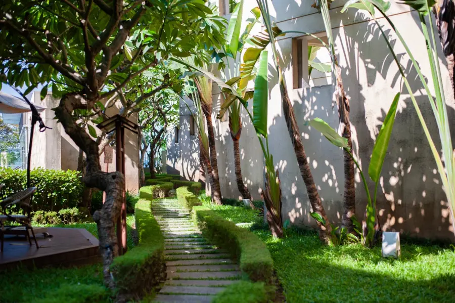 Come creare zone d’ombra naturali in giardino: soluzioni efficaci e durature