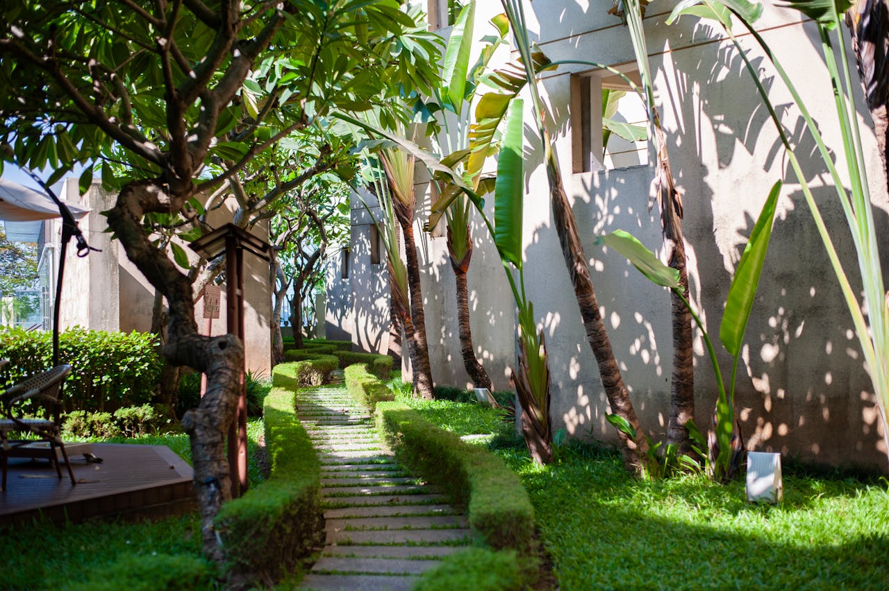 Come creare zone d’ombra naturali in giardino: soluzioni efficaci e durature