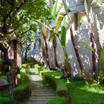 Come creare zone d’ombra naturali in giardino: soluzioni efficaci e durature