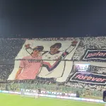 Modena, steward aggredito: Daspo fino a 10 anni per tre tifosi