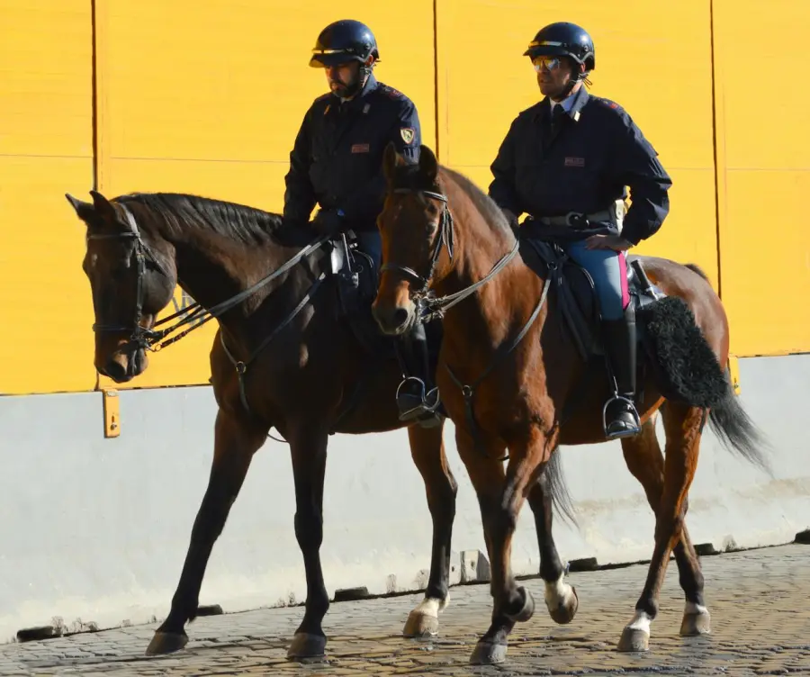 Modena, pattuglie a cavallo nei parchi per più controlli