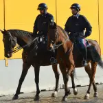 Modena, pattuglie a cavallo nei parchi per più controlli