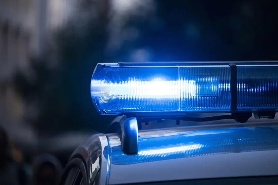 Modena, controlli sulle armi: ritiri dopo certificato mancante
