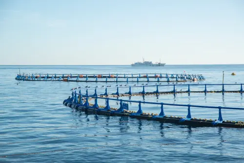 Emilia-Romagna, un milione per pesca e acquacoltura