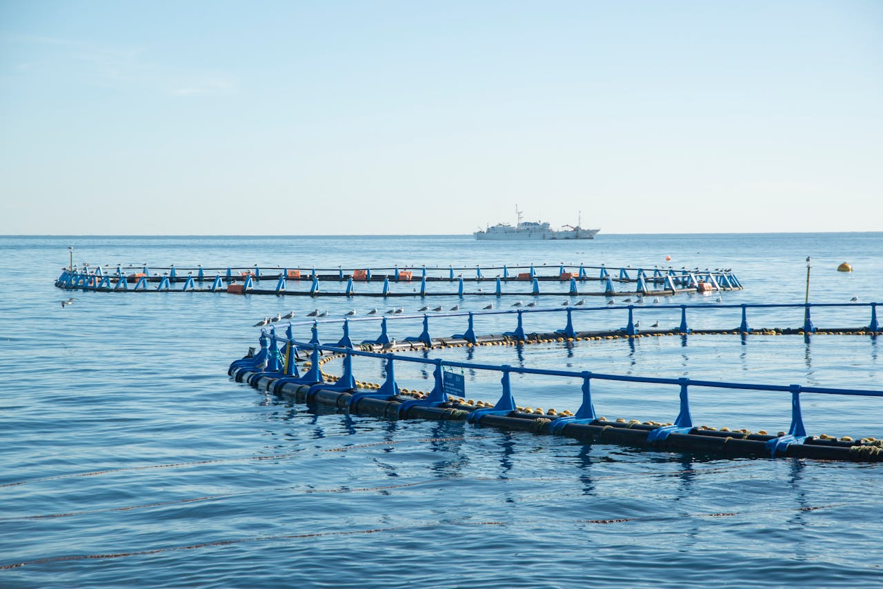 Emilia-Romagna, un milione per pesca e acquacoltura