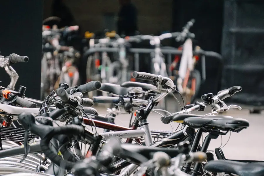 Modena, al Novi Sad l’asta delle bici recuperate