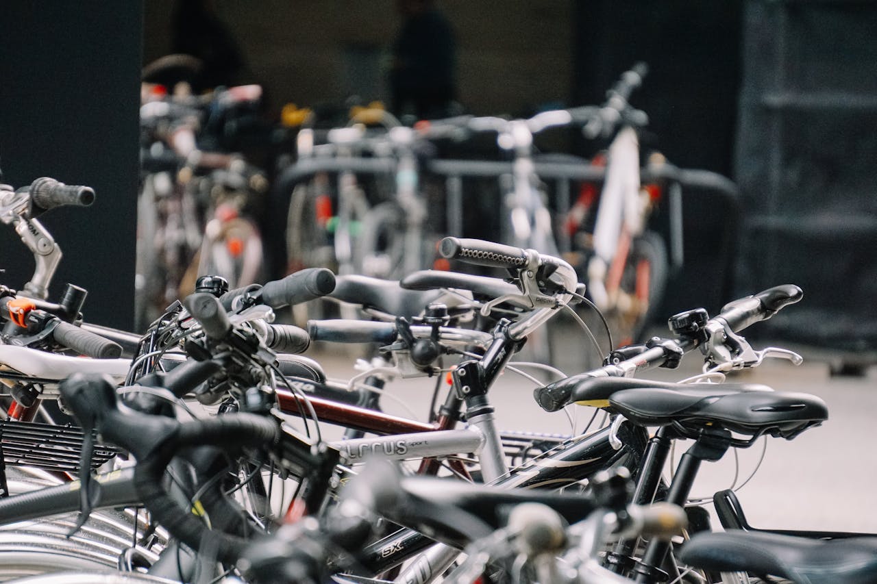 Modena, al Novi Sad l’asta delle bici recuperate