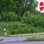 Manutenzione del verde stradale, in arrivo un appalto da 180 mila euro: lavori al via a marzo 2026